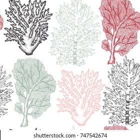 Seamless pattern with hand drawn sea fans corals - gorgonia sketch. Vector background with underwater natural elements. Vintage sealife illustration.