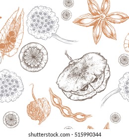 Seamless Pattern, Hand Drawn Seeds, Pods Collection, Vintage Style, Vector Illustration