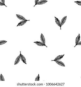 Seamless pattern of hand drawn sketch style. Feathers graphic. Vector illustration isolated on white background.