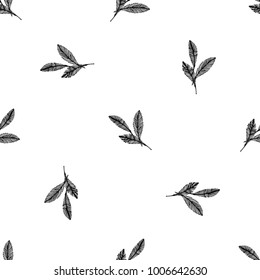 Seamless pattern of hand drawn sketch style. Feathers graphic.Vector illustration isolated on white background.