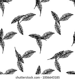 Seamless pattern of hand drawn sketch style. Feathers graphic.Vector illustration isolated on white background.