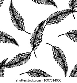 Seamless pattern of hand drawn sketch style. Feathers graphic.Vector illustration isolated on white background.