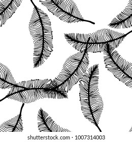 Seamless pattern of hand drawn sketch style. Feathers graphic.Vector illustration isolated on white background.