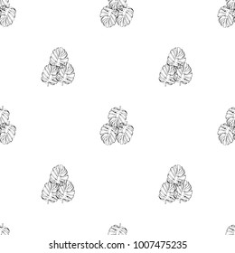 Seamless pattern of hand drawn sketch style. Australian fern.Vector illustration isolated on white background.