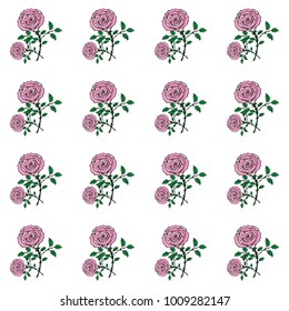 Seamless pattern of hand drawn sketch style. Rose flower. Vector illustration isolated on white background.
