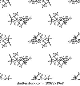 Seamless pattern of hand drawn sketch style.  Rose flower. Vector illustration isolated on white background.
