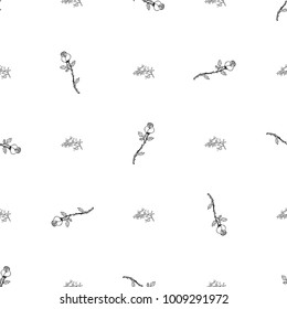 Seamless pattern of hand drawn sketch style.  Rose flower. Vector illustration isolated on white background.
