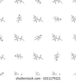 Seamless pattern of hand drawn sketch style.  Rose flower. Vector illustration isolated on white background.