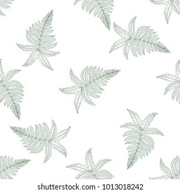Seamless pattern of hand drawn sketch style. Australian fern.Vector illustration isolated on white background