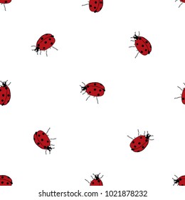 Seamless pattern of hand drawn sketch style. ladybird. Vector illustration isolated on white background.