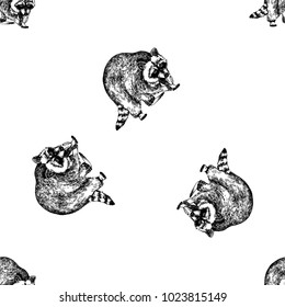 Seamless pattern of hand drawn sketch style raccoon. Vector illustration isolated on white background.