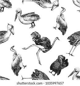 Seamless pattern of hand drawn sketch style birds. Vector illustration isolated on white background.