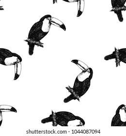 Seamless pattern of hand drawn sketch style toucans. Vector illustration isolated on white background.