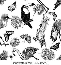 Seamless pattern of hand drawn sketch style exotic birds, plants and butterflies isolated on white background. Vector illustration.