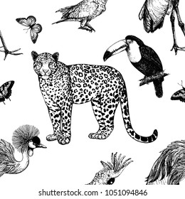 Seamless pattern of hand drawn sketch style leopard, exotic birds and butterfly isolated on white background. Vector illustration.