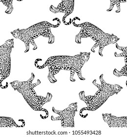 Seamless pattern of hand drawn sketch style leopards isolated on white background. Vector illustration.