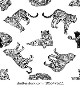 Seamless pattern of hand drawn sketch style leopards isolated on white background. Vector illustration.