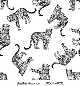 Seamless pattern of hand drawn sketch style leopards isolated on white background. Vector illustration.