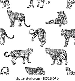 Seamless pattern of hand drawn sketch style leopards isolated on white background. Vector illustration.