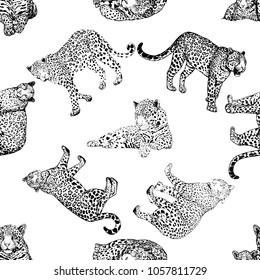 Seamless pattern of hand drawn sketch style leopards isolated on white background. Vector illustration.