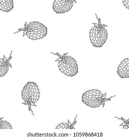 Seamless pattern of hand drawn sketch style Raspberries.Vector illustration isolated on white background 