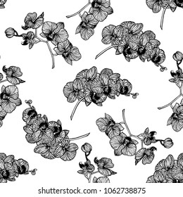 Seamless pattern of hand drawn sketch style orchid flowers isolated on white background. Vector illustration.
