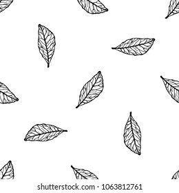 Seamless pattern of hand drawn sketch style Bay leaf.Vector illustration isolated on white background 