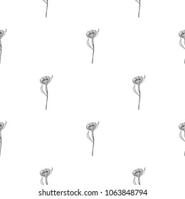 Seamless pattern of hand drawn sketch style Flowers.Vector illustration isolated on white background 