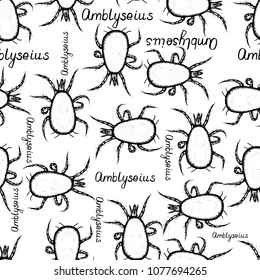 Seamless pattern hand drawn sketch of mite Amblyseius in ink on white background. Vector illustration.