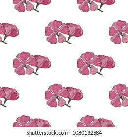 Seamless pattern of hand drawn sketch style flowers exotic.Vector illustration isolated on white background 