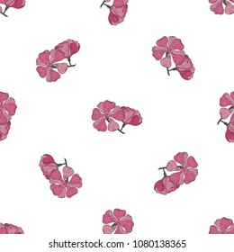 Seamless pattern of hand drawn sketch style flowers exotic.Vector illustration isolated on white background 