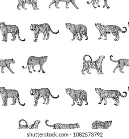 Seamless pattern of hand drawn sketch style leopards isolated on white background. Vector illustration.