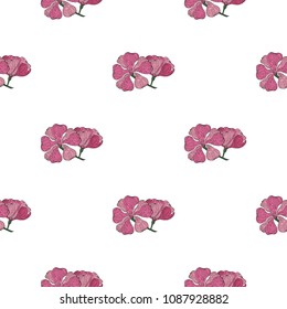 Seamless pattern of hand drawn sketch style flowers exotic.Vector illustration isolated on white background 