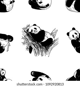 Seamless pattern of hand drawn sketch style giant pandas isolated on white background. Vector illustration.