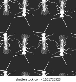 Seamless pattern of hand drawn sketch of wasp Encarsia in ink on dark grey background. Vector illustration.
