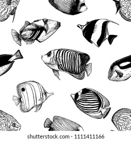 Seamless pattern of hand drawn sketch style tropical fish isolated on white background. Vector illustration.