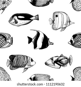 Seamless pattern of hand drawn sketch style tropical fish isolated on white background. Vector illustration.