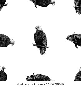 Seamless pattern of hand drawn sketch style eagles isolated on white background. Vector illustration.