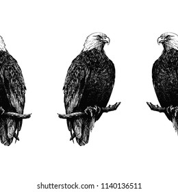 Seamless pattern of hand drawn sketch style eagles isolated on white background. Vector illustration.