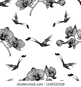 Seamless pattern of hand drawn sketch style hummingbirds and orchid flowers isolated on white background. Vector illustration.