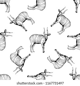 Seamless pattern of hand drawn sketch style bongo antelopes isolated on white background. Vector illustration.