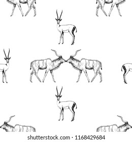 Seamless pattern of hand drawn sketch style lesser kudu antelope and gazelle isolated on white background. Vector illustration.