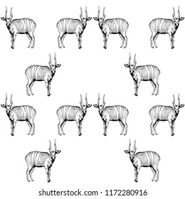 Seamless pattern of hand drawn sketch style bongo antelopes isolated on white background. Vector illustration.