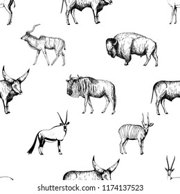 Seamless pattern of hand drawn sketch style ungulates isolated on white background. Vector illustration.