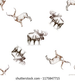 Seamless pattern of hand drawn sketch style moose and deer isolated on white background. Vector illustration.