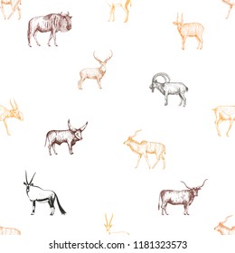 Seamless pattern of hand drawn sketch style ungulates isolated on white background. Vector illustration.