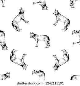 Seamless pattern of hand drawn sketch style dingo dogs isolated on white background. Vector illustration.