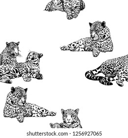 Seamless pattern of hand drawn sketch style leopards isolated on white background. Vector illustration.