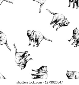 Seamless pattern of hand drawn sketch style Tasmanian Devils isolated on white background. Vector illustration.