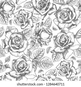 Seamless pattern Hand drawn sketch roses Detailed vintage botanical illuatration. Floral frame. Black silhouette isollated on white background. Vector Creative graphic art in engraving style